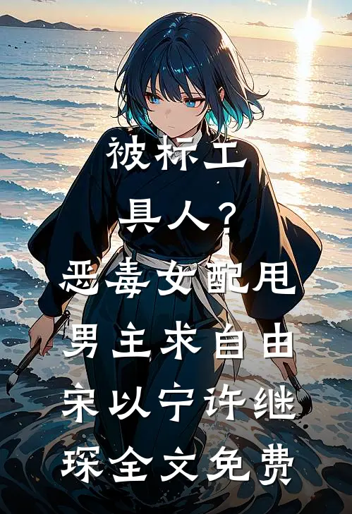 被标工具人？恶毒女配甩男主求自由宋以宁许继琛全文免费