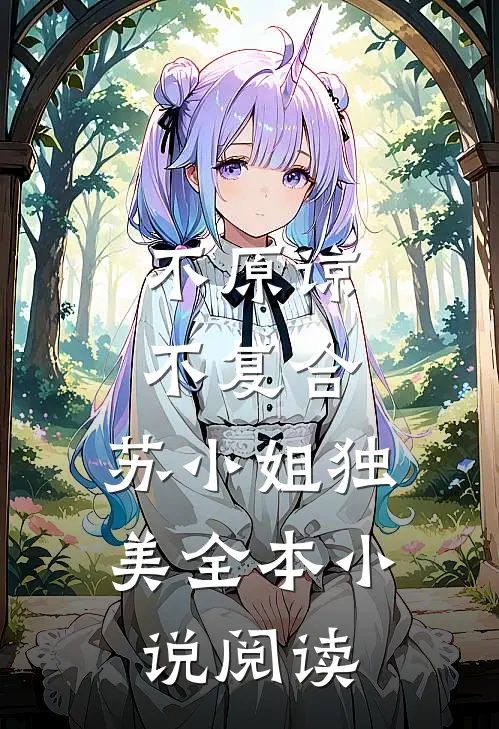不原谅，不复合，苏小姐独美全本小说阅读