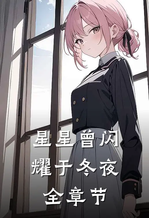 星星曾闪耀于冬夜全章节