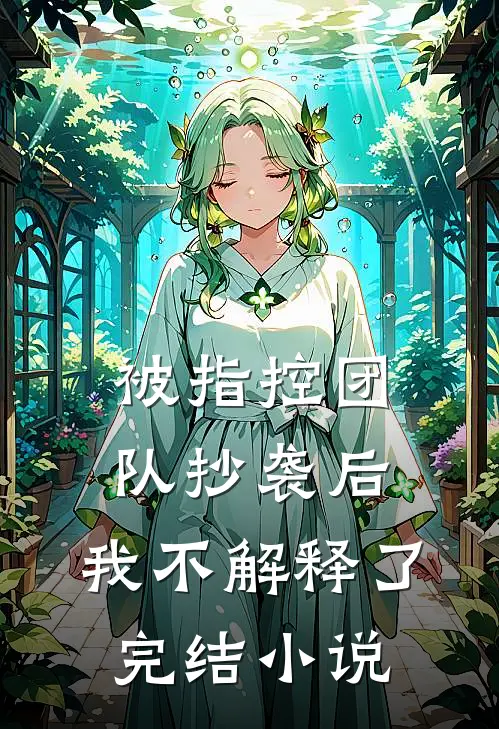 被指控团队抄袭后，我不解释了完结小说