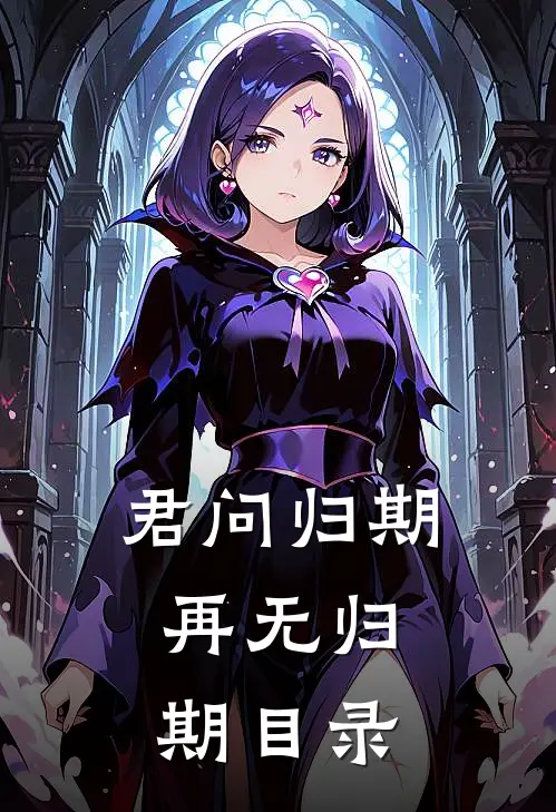 君问归期，再无归期目录