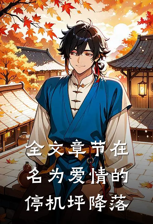 全文章节在名为爱情的停机坪降落