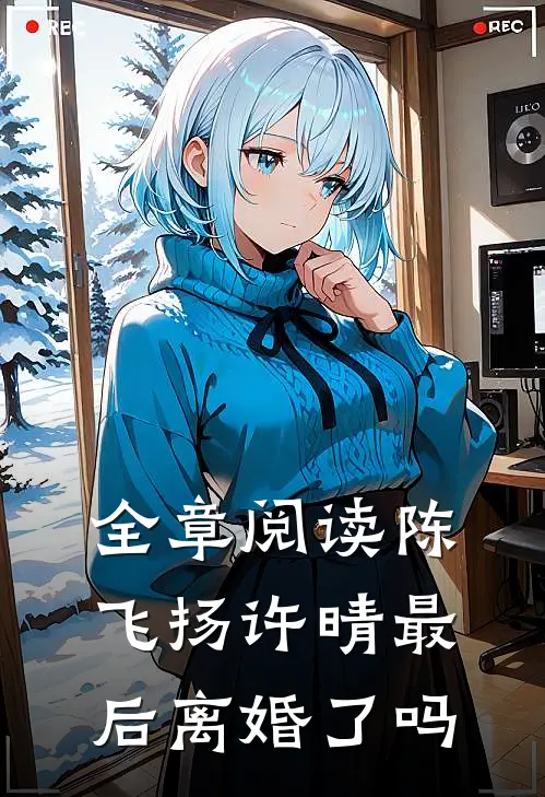 全章阅读陈飞扬许晴最后离婚了吗