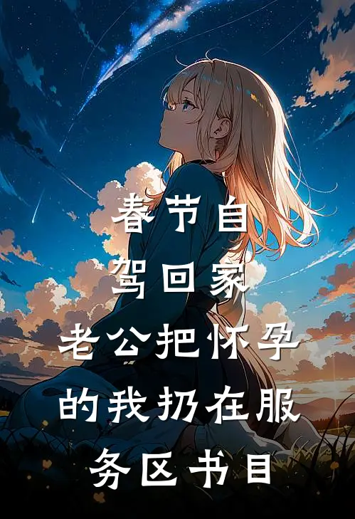 春节自驾回家，老公把怀孕的我扔在服务区书目