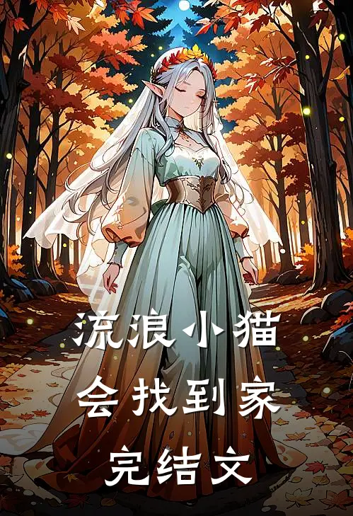 流浪小猫会找到家完结文