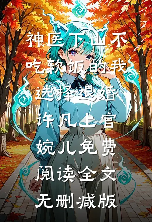 不拾遗光后续
