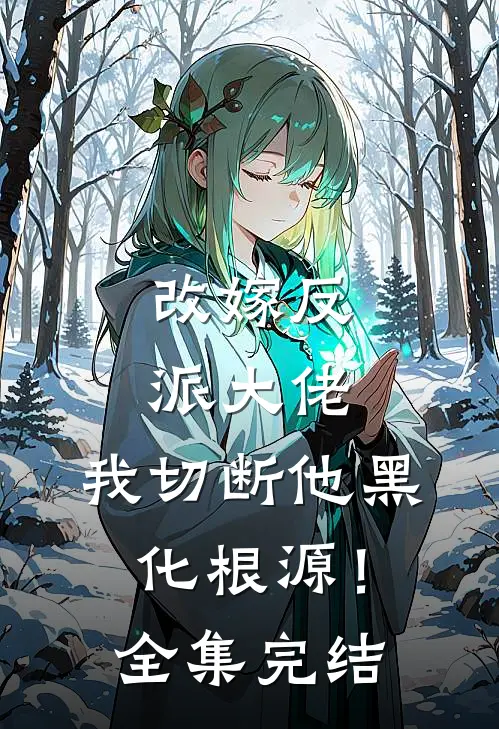 改嫁反派大佬，我切断他黑化根源！全集完结