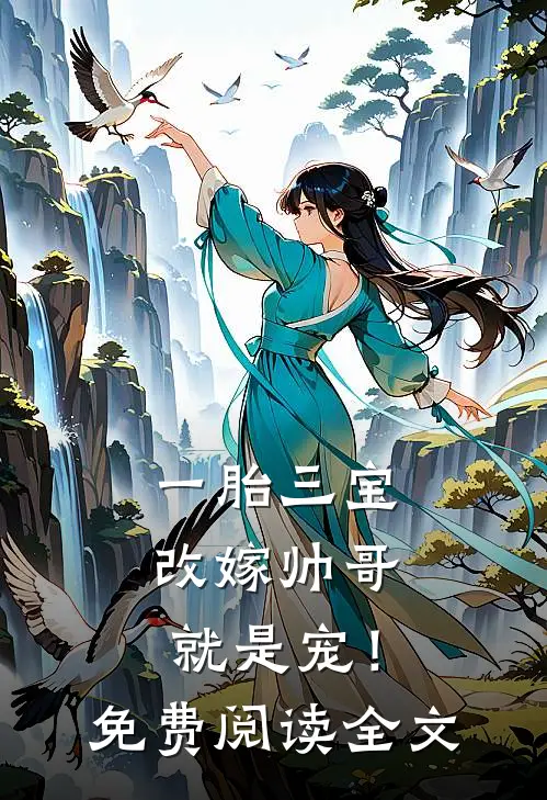 一胎三宝，改嫁帅哥就是宠！免费阅读全文