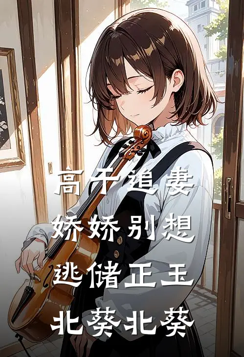 高干追妻：娇娇别想逃储正玉北葵北葵