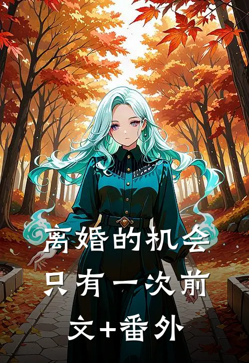 离婚的机会只有一次前文+番外