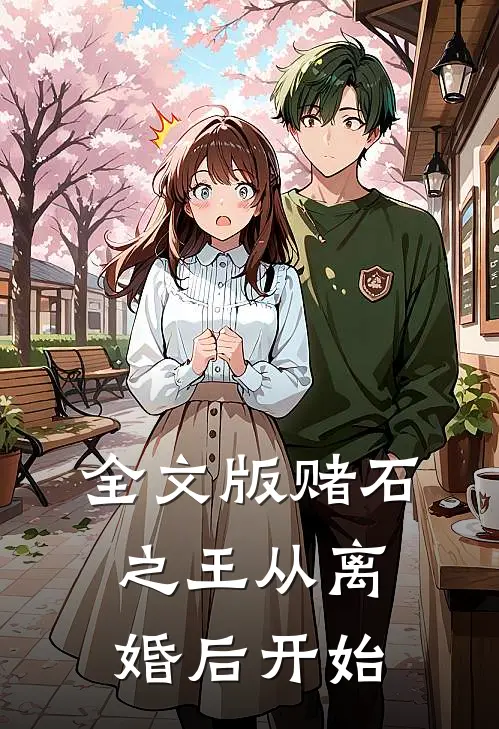 全文版赌石之王从离婚后开始