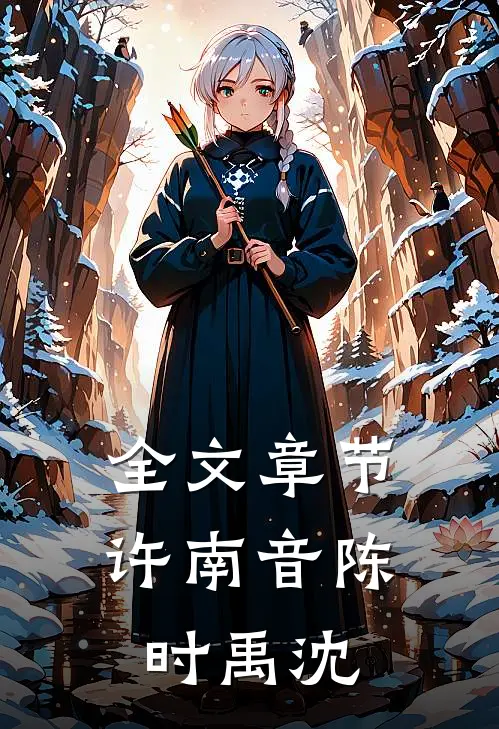 全文章节许南音陈时禹沈