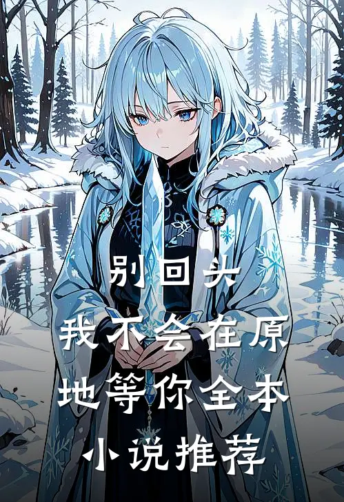 别回头，我不会在原地等你全本小说推荐