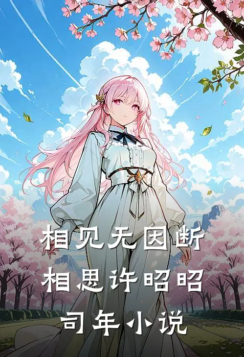 相见无因断相思许昭昭司年小说