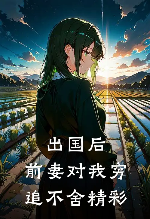 出国后，前妻对我穷追不舍精彩