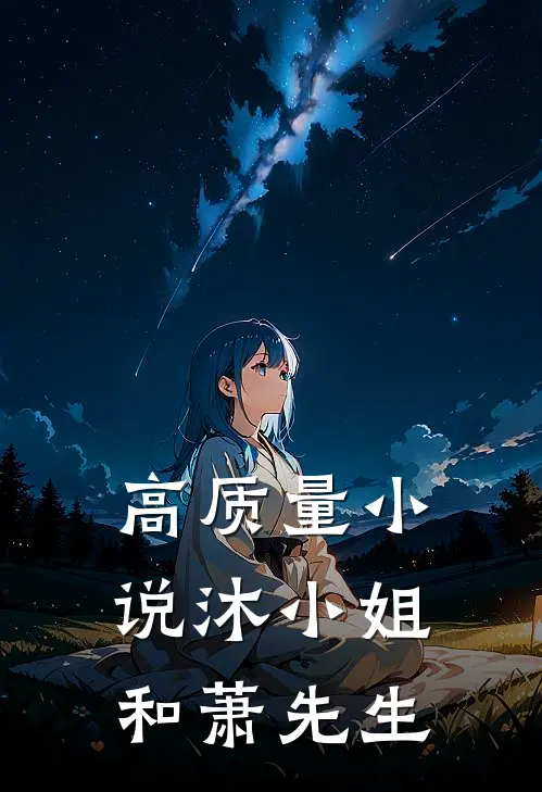 高质量小说沐小姐和萧先生
