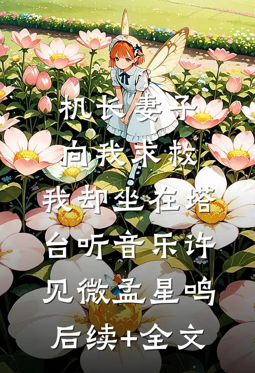 机长妻子向我求救，我却坐在塔台听音乐许见微孟星鸣后续+全文