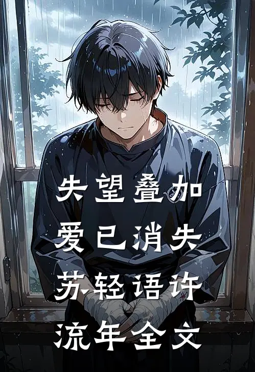 失望叠加，爱已消失苏轻语许流年全文