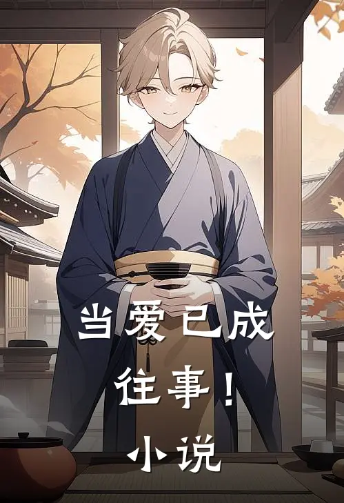 当爱已成往事！小说