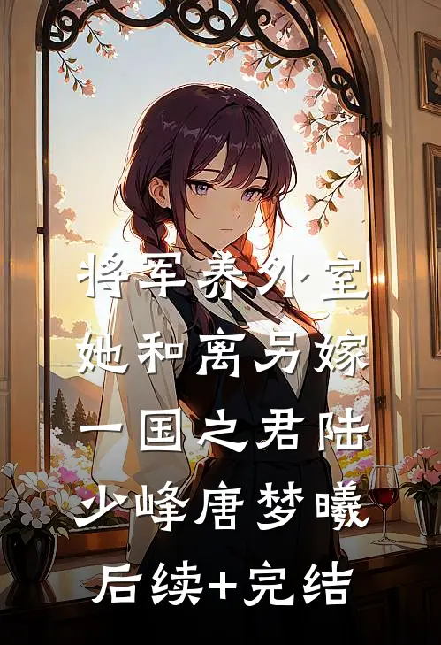 将军养外室，她和离另嫁一国之君陆少峰唐梦曦后续+完结