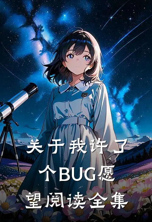 关于我许了个BUG愿望阅读全集