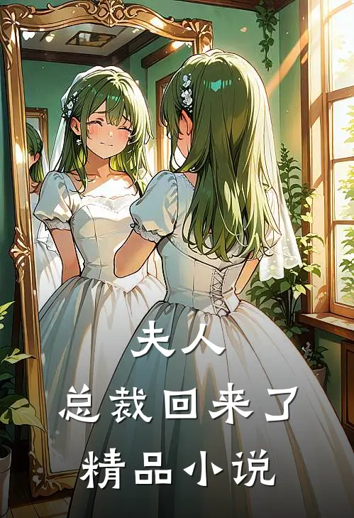夫人，总裁回来了精品小说