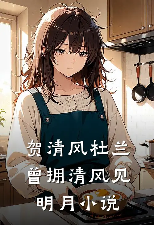 贺清风杜兰曾拥清风见明月小说