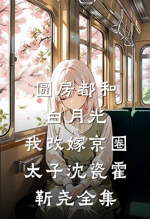 圆房都和白月光，我改嫁京圈太子沈瓷霍靳尧 全集