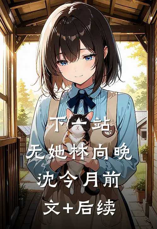 下一站，无她林向晚沈今月前文+后续