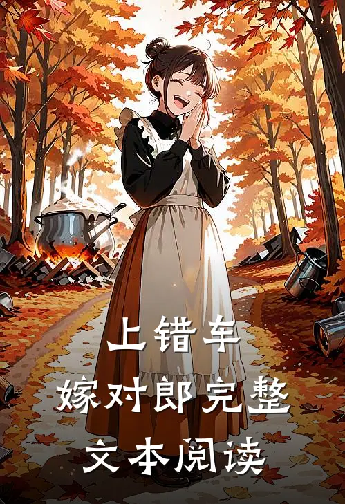 上错车，嫁对郎完整文本阅读
