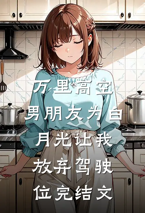 万里高空，男朋友为白月光让我放弃驾驶位完结文