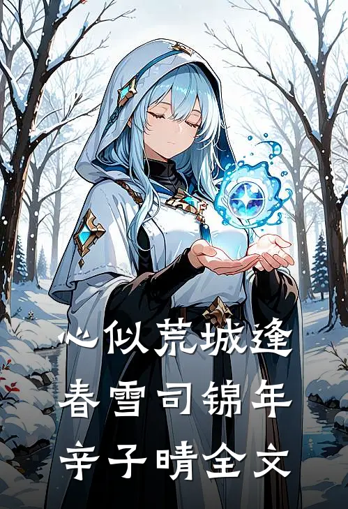 心似荒城逢春雪司锦年辛子晴全文