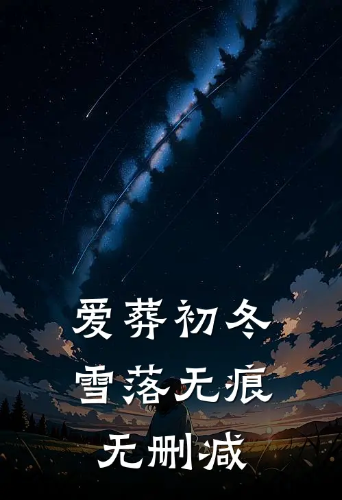 爱葬初冬，雪落无痕无删减