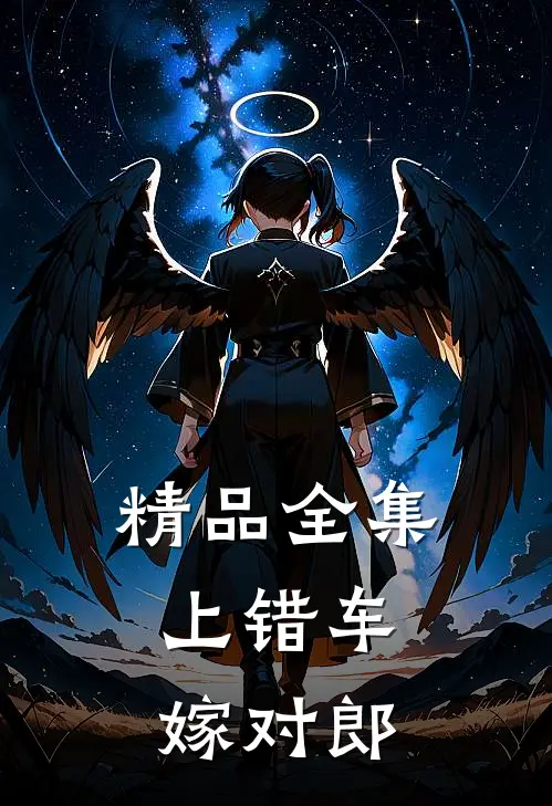 精品全集上错车，嫁对郎