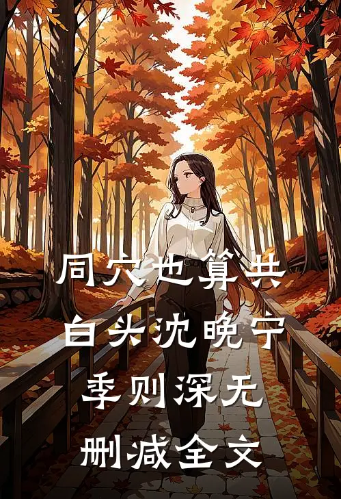 同穴也算共白头沈晚宁季则深无删减全文