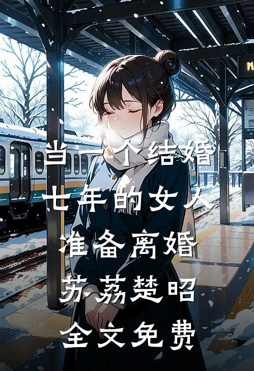 当一个结婚七年的女人准备离婚苏荔楚昭全文免费