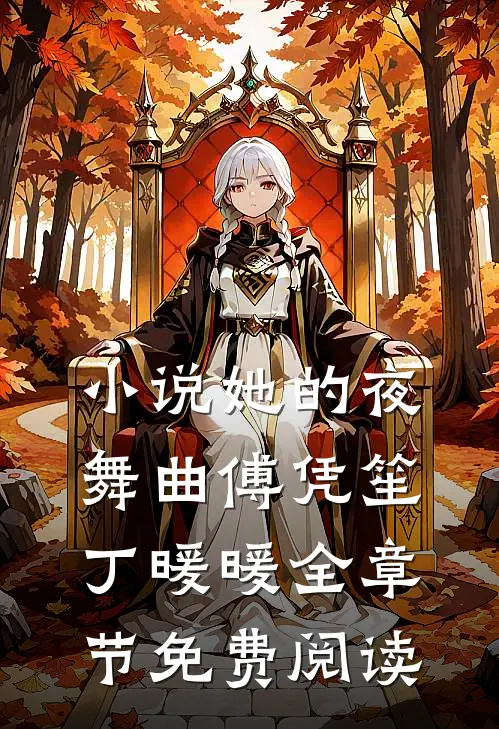 小说她的夜舞曲傅凭笙丁暖暖全章节免费阅读
