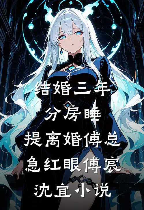 结婚三年分房睡，提离婚傅总急红眼傅宸沈宜小说