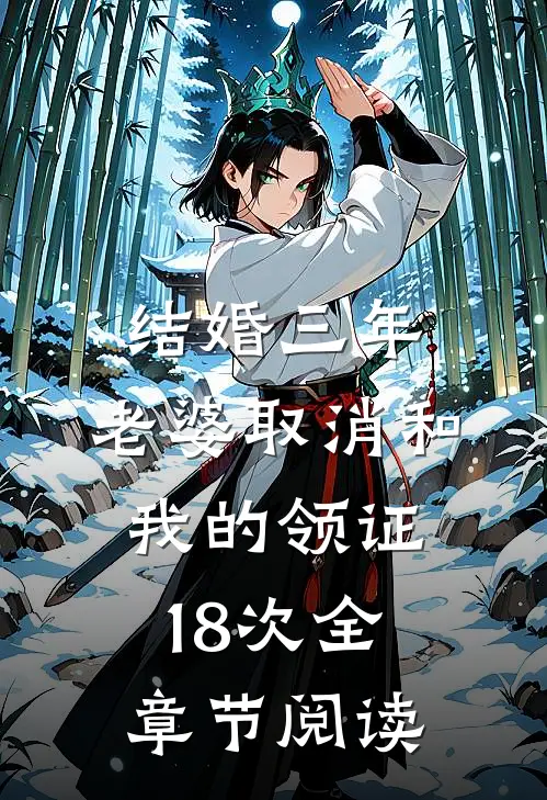 结婚三年，老婆取消和我的领证18次全章节阅读