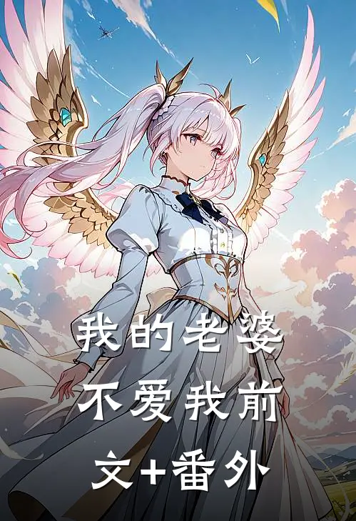 我的老婆不爱我前文+番外