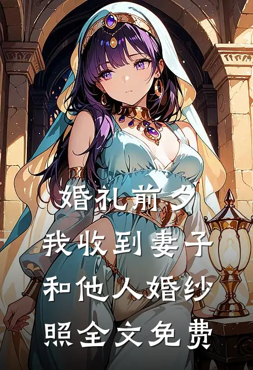 婚礼前夕，我收到妻子和他人婚纱照全文免费