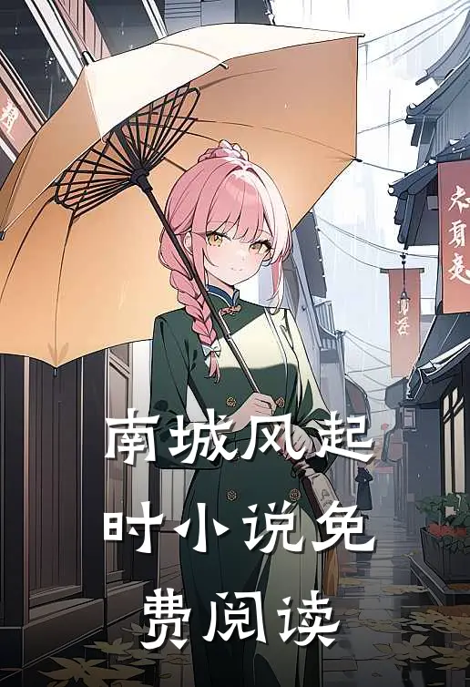 南城风起时小说免费阅读