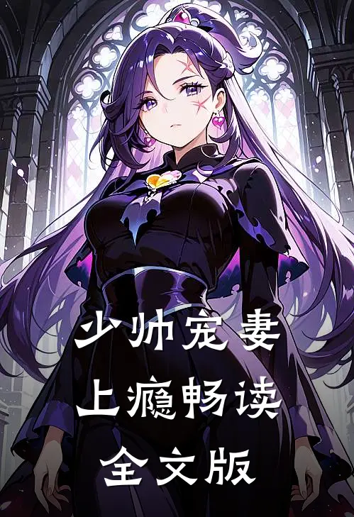 少帅宠妻上瘾畅读全文版