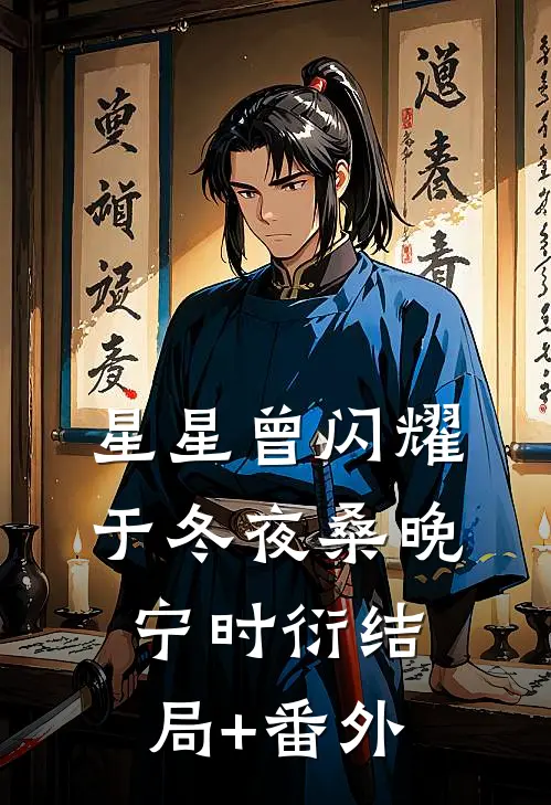 星星曾闪耀于冬夜桑晚宁时衍结局+番外