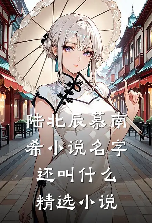 陆北辰慕南希小说名字还叫什么精选小说
