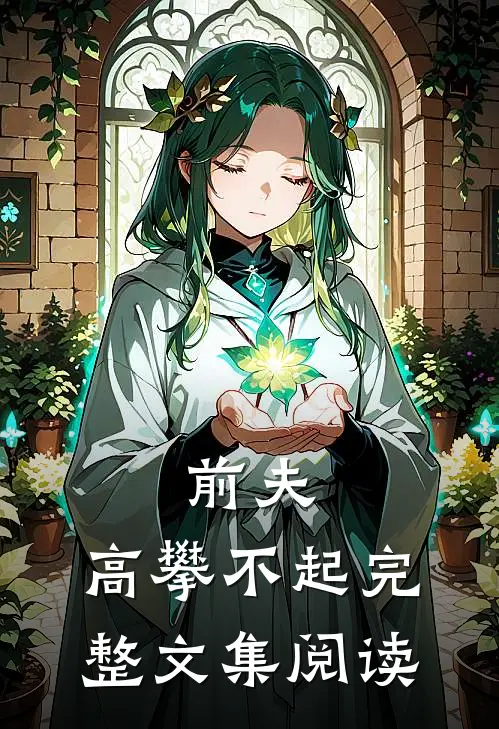 前夫 ，高攀不起完整文集阅读