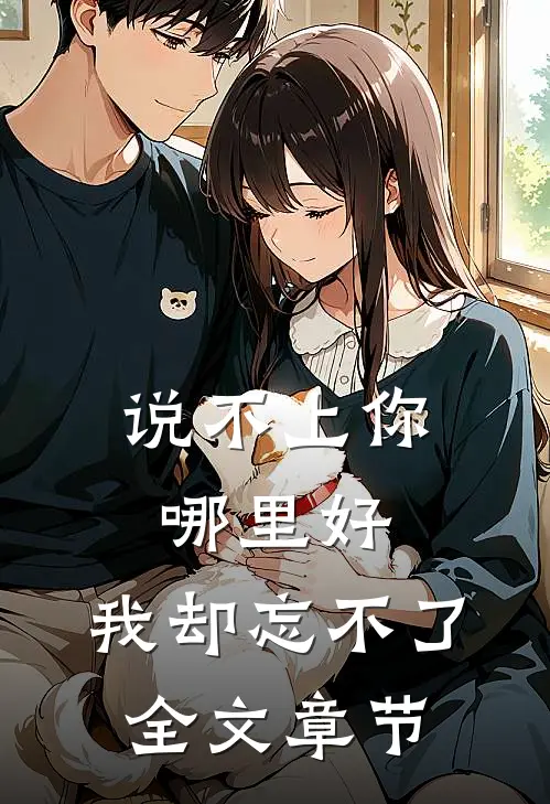 说不上你哪里好，我却忘不了全文章节