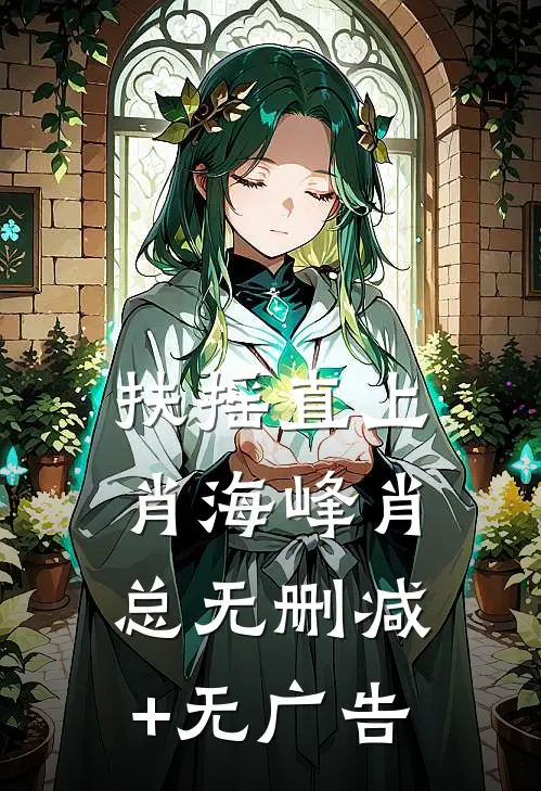 扶摇直上肖海峰肖总无删减+无广告
