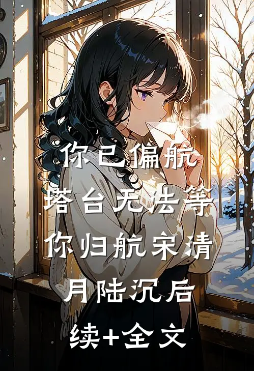 你已偏航，塔台无法等你归航宋清月陆沉后续+全文