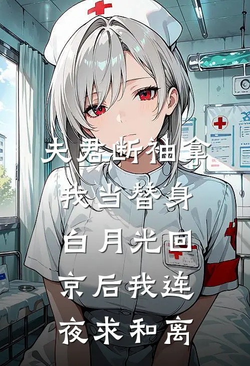 夫君断袖拿我当替身，白月光回京后我连夜求和离